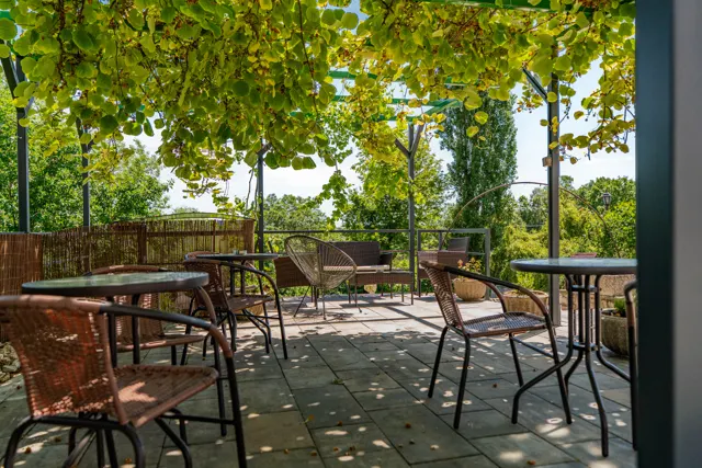 Pergola u penzionu